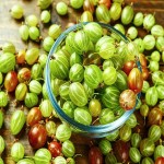 بهترین قیمت خرید انگور فرنگی هند