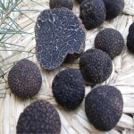 قارچ سیاه دنبلان کوهی | خرید با قیمت ارزان