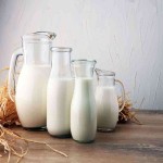 معرفی انواع شیر میامی جدید