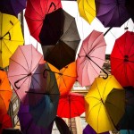 بهترین تولید کنندگان چترهای رنگی