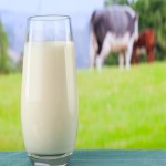 معرفی شیر میامی پروتئین + خواص فوق العاده
