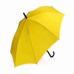 خرید آسان از فروشگاه اینترنتی چتر