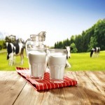 شیر میامی مدت دار مضر یا مفید است؟