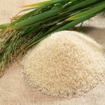قیمت برنج شمال در مشهد + نمایندگی پخش