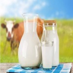 پروتئین شیر کم چرب میامی چه قدر است؟