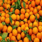 بهترین قیمت پرتقال آبگیری + خرید به صرفه