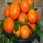 بهترین قیمت نارنگی ژاپنی در میدان بار تهران