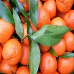 چند نوع نارنگی داریم؟ | معرفی کامل