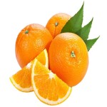 پخش و فروش پرتقال عمده