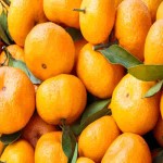 نارنگی میوه چه فصلی است؟ + خرید بهترین نوع