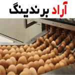 لیست قیمت دستگاه های بسته بندی تخم مرغ
