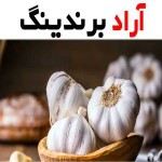 قیمت خرید سیر صادراتی همدان + آموزش