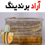 عسل کنار خالص؛ قند طبیعی ارگانیک تقویت حافظه (500 1000) گرمی