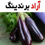 آشنایی با بادمجان سیاه + قیمت استثنایی خرید  بادمجان سیاه