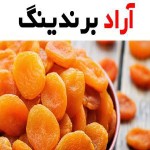 خرید انواع قیسی مرند + قیمت