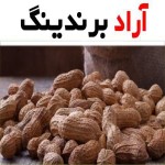 خرید بادام زمینی غلاف دار کیلویی + بهترین قیمت