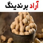 خرید بادام زمینی مغان ۱۴۰۱ با قیمت استثنایی