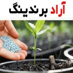 قیمت و خرید کود نانو کلات آهن + فروش ارزان