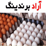خرید یک شانه تخم مرغ امروز تهران + قیمت عالی