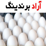 تخم مرغ روز؛ درشت بهداشتی تازه بسته بندی (6 30 تایی)