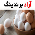 تخم مرغ خانگی؛ ریز متوسط زرده نارنجی حاوی مواد معدنی ویتامین Protein
