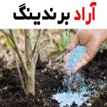 اهمیت کود نیتروژن ایران و از پرمصرف ترین کودها که موثر در کشاورزی