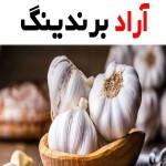 قیمت خرید سیر خشک گلستان + خواص، معایب و مزایا