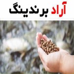 غذای ماهی گوپی ایرانی؛ خشک منجمد (توپی پولکی) چربی Vitamin