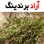 خرید آویشن ایرانی بدون واسطه از تولیدکننده