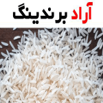 معرفی برنج شیرودی شمال + بهترین قیمت خرید