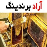 آیا عسل طبیعی برای اسهال خوب است؟