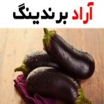 بادمجان قلمی ایرانی و نقش آن در گوارش و سلامت کلیه