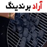 تنوع و اصالت ذغال کبابی شیراز لذتی بی نظیر در دنیای غذا