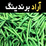 لوبیا سبز شیراز و بهره مندی از خواص بی شمار آن در رژیم غذایی