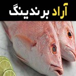 ماهی سرخو بزرگ اصل محلی در شیراز کد 32