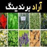 گیاهان دارویی تبریز همراه با توضیحات کامل و آشنایی