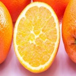 پرتقال جنوب آشنایی صفر تا صد قیمت خرید عمده