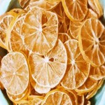 لیمو حلقه ای خشک شده آشنایی صفر تا صد قیمت خرید عمده