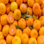 نارنگی ژاپنی مازندران آشنایی صفر تا صد قیمت خرید عمده