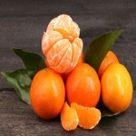 مشخصات نارنگی صادراتی ایران و نحوه خرید عمده