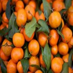 لیست قیمت نارنگی شیرازی به صورت عمده و با صرفه
