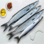 ماهی چنگو شیرنیزه اصل صید طبیعی دریای جنوب کد 68