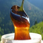 مشخصات عسل چهل گیاه کردستان و نحوه خرید عمده