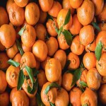 راهنمای خرید نارنج جلال آباد با شرایط ویژه و قیمت استثنایی