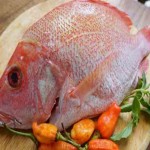 ماهی سرخو درشت صادراتی خلیج فارس کد 33