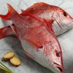 ماهی سرخو دندونی اصل ارزان صید روز کد 55