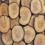 قیمت چوب صنوبر کیلویی چه موقع از سال ارزانتر است؟