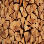 آشنایی با فرآیند تعیین قیمت چوب درخت کیلویی