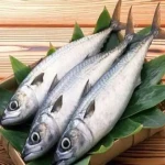 ماهی سفید جنوب صادراتی قیمت مناسب کد 94