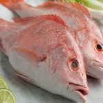 ماهی سرخو اصل صادراتی بهترین قیمت در بوشهر کد 88